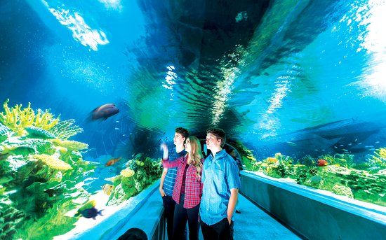 OdySea In The Desert